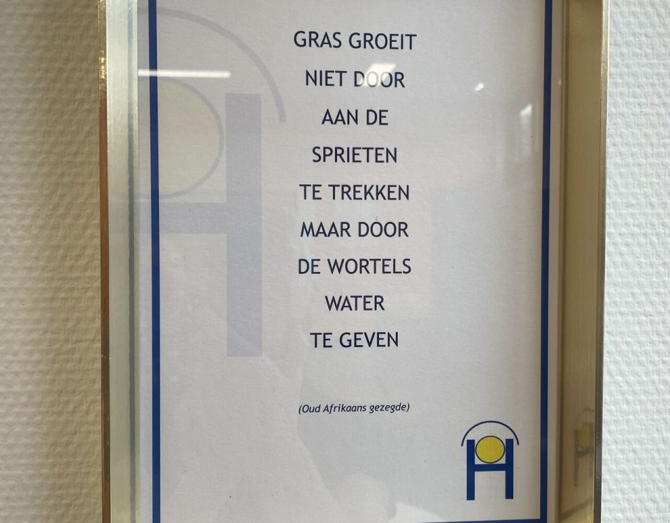Groei begint onder de oppervlakte